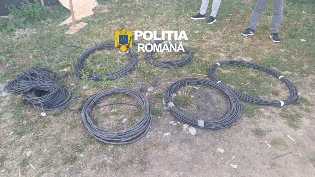 48ba8a07-15c7-4c24-beb1-d6b5f5d4d6f6