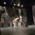 „Flori pentru Algernon”, premieră inedită la TDIDS