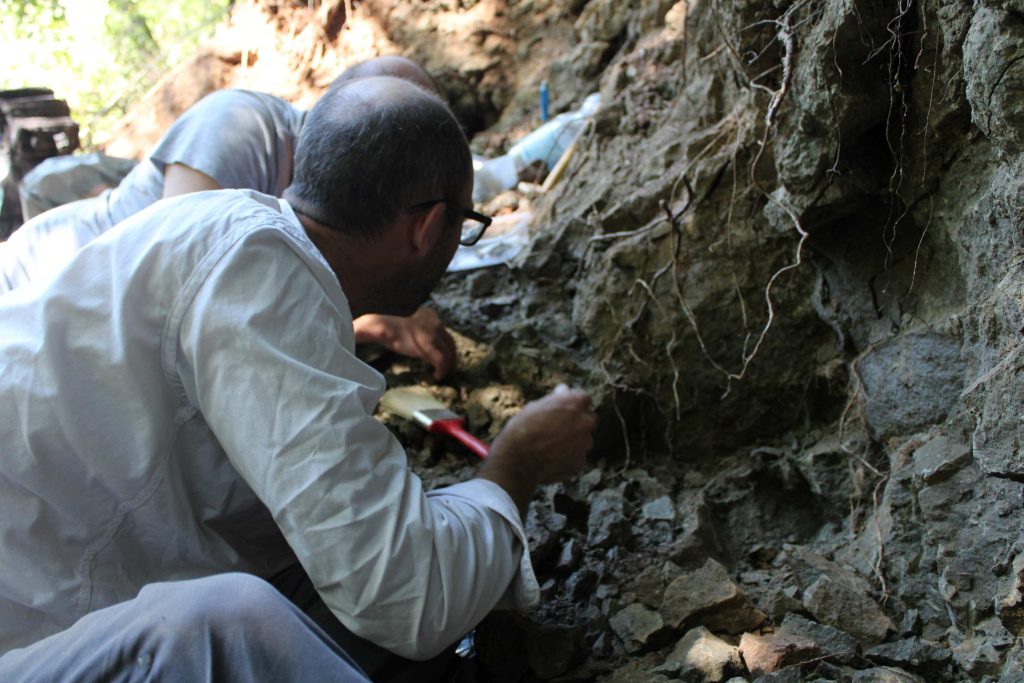 GIUTH_paleontologi Rachitova_02092026_3