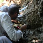 Pe urmele dinozaurilor de acum 70 de milioane de ani, la Școala de vară din Geoparcul Internațional UNESCO Țara Hațegului