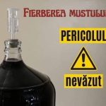 Atenție la fermentarea vinului! Dioxidul de carbon poate deveni mortal în spațiile închise