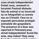 Ursul de pe strada Independenței – o gumă proastă la miezul nopții