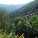 Creaturile uimitoare din Defileul Jiului pe care trecem fără să le vedem