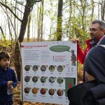 „Popasul verde al dinozaurilor”, un nou loc de explorare în Geoparcul Țara Hațegului