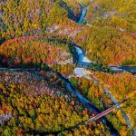 Defileul Jiului, spectacol de culori în mijlocul toamnei. Pădurile și fauna sălbatică, atracțiile Văii Jiului