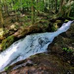 Toamna pe pârâul Buta. Un colț de natură sălbatică din Valea Jiului