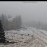 Ninge în Parâng