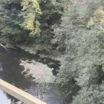 Apele, la cotele cele mai mici, din ultimele trei decenii și jumătate