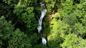 cascade