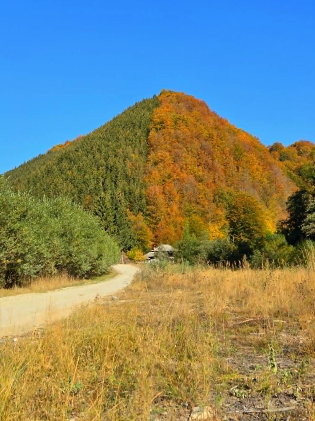 descărcare (1)