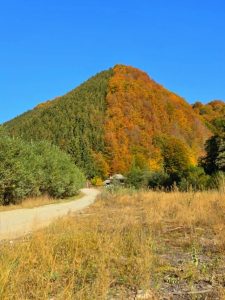 descărcare (1)
