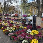 E vremea crizantemelor